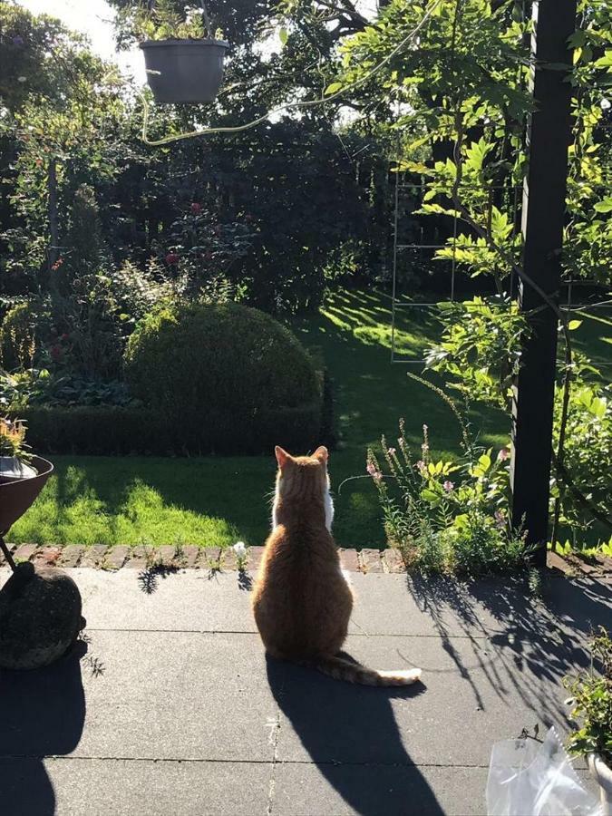 B&B 't Pakhuis Meteren Luaran gambar